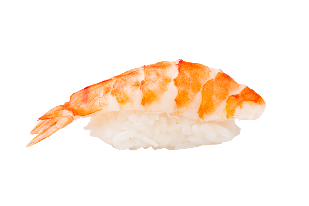 Ebi Nigiri